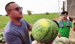 永康吃瓜最新事件爆料新闻