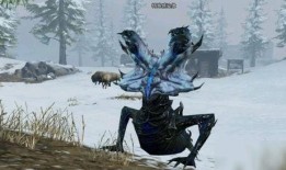 白树最新爆料视频播放,精彩瞬间与幕后故事大公开