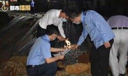 东莞现场实拍爆料事件最新,最新现场事件直击，真相揭秘！