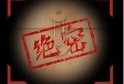白陶节目爆料最新视频,揭秘幕后故事与精彩瞬间