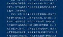 惠州网约车爆料事件最新,司机与乘客冲突引发社会关注