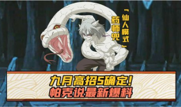 帕克最新爆料图片高清壁纸,揭秘神秘画面背后的故事