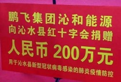 鹏飞集团爆料最新消息,揭秘企业转型背后的秘密与挑战