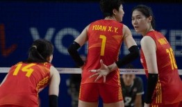 最新爆料李盈莹事件,揭秘背后真相与影响