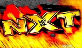 外媒爆料新进展最新消息,揭秘神秘事件背后真相