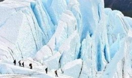 冰川王子尸检最新爆料,揭秘神秘死亡之谜