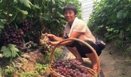 河北邢台第一美吃瓜最新事件爆料,第一美吃瓜事件引爆网络热议