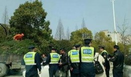 杭州网约车爆料案件最新,真相与争议交织的网约车安全风波