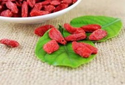 枸杞硫磺爆料视频大全最新,最新爆料视频大盘点