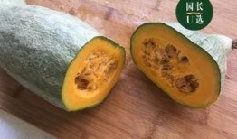 新疆吃瓜最新爆料,揭秘最新爆料背后的真相与争议