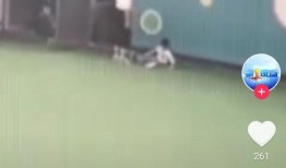 合肥幼儿园爆料视频最新,揭秘园内惊人真相