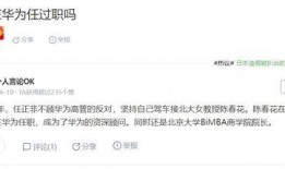 陈春花最新爆料消息,揭秘企业成功之道与行业变革趋势