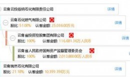 云南云投爆料最新消息,揭秘神秘项目背后的真相