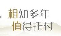 中国人寿财险最新爆料,揭秘保险行业内幕与变革动向