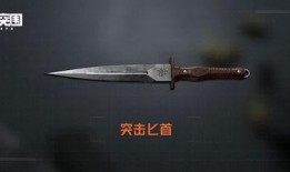 暗区新刀爆料最新,神秘武器即将登场，揭秘游戏新篇章