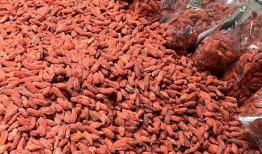 枸杞硫磺爆料视频大全最新,最新爆料视频大盘点