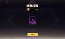 中转盘特效枪最新爆料,神秘性能引发热议，游戏战场再起风云