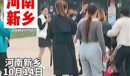 河南网友爆料视频最新,惊现神秘事件，真相令人震惊！