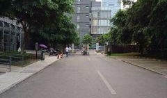 重庆花园城市最新爆料,揭秘未来宜居新地标