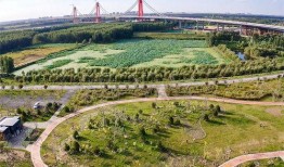 黄河公园爆料视频最新,揭秘公园神秘事件背后的真相